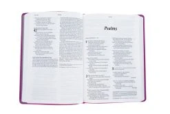 NLT Large Print Thinline Reference Bible, Filament Enabled Edition (Red Letter, -Books-Bible 100 0006 3