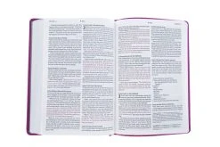 NLT Large Print Thinline Reference Bible, Filament Enabled Edition (Red Letter, -Books-Bible 100 0006 4
