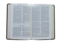 LIV: Living Bible – Paraphrased -Books-Bible 100 0007 3