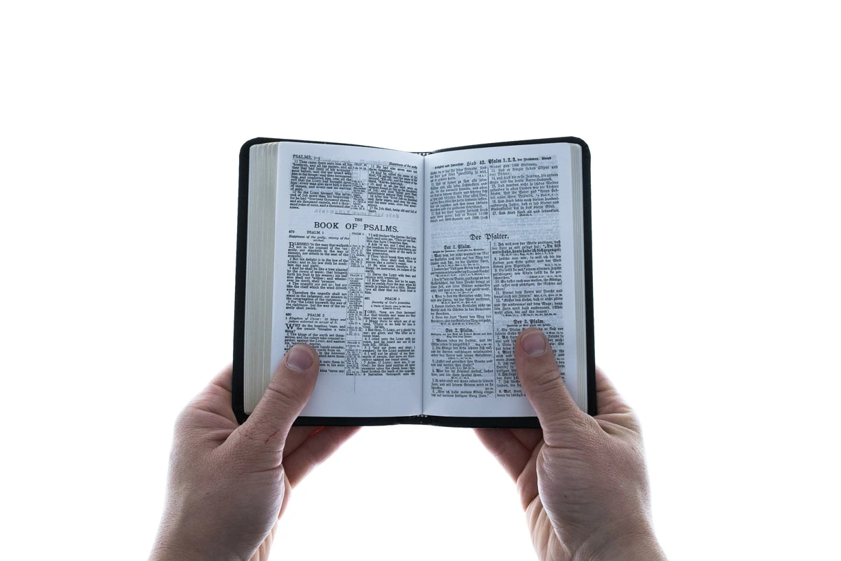 New Testament German/English 5 New Testament German/English - Image 3