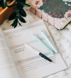 Amen- The Story Of Scripture From Eden To Eternity -Books-Bible 117 0022 3