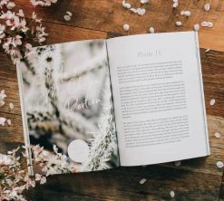 Delight Bible Study Psalms 1-30 -Books-Bible 117 0024 1 1