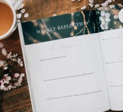 Delight Bible Study Psalms 1-30 -Books-Bible 117 0024 3 1