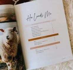 He Leads Me | A Study Of Psalms 23 -Books-Bible 117 0031 2