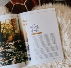 He Leads Me | A Study Of Psalms 23 -Books-Bible 117 0031 3