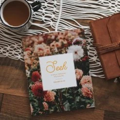 Seek: A Walk Through Psalms Psalms 61-90 -Books-Bible 117 0039 2