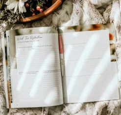 More Than Anything Bible Study -Books-Bible 117 0040 3