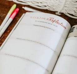 Romans Volume 2 | The Gospel Centered Life -Books-Bible 117 0147 3