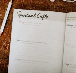 Romans Volume 2 | The Gospel Centered Life -Books-Bible 117 0147 5