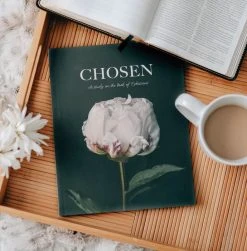 Chosen: Ephesians Study -Books-Bible 117 1705 1