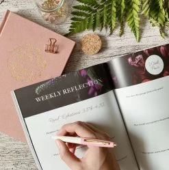 Chosen: Ephesians Study -Books-Bible 117 1705 2