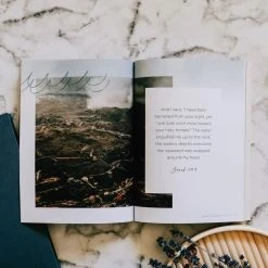 Mercy In The Storm: Jonah Study -Books-Bible 117 1708 3