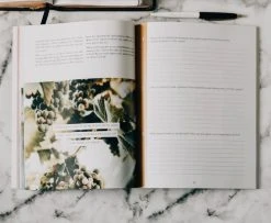 Even If -Habukkuk Study -Books-Bible 117 1711 3