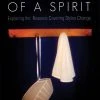 The Ornament Of A Spirit -Books-Bible 118 0295 0