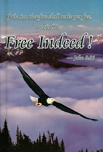 Free Indeed John 8:36 Study Guide Teacher’s Edition