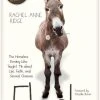 Flash: The Homeless Donkey -Books-Bible 118 1205 0