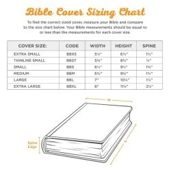 BC: Strong And Courageous Lion Gray – Medium -Books-Bible 124 0296 2 1