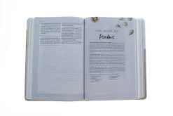 CSB (in)courage Devotional Bible, Desert/Mustard/Alabaster LeatherTouch -Books-Bible 200 0009 3