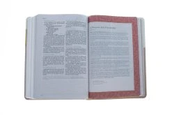 CSB (in)courage Devotional Bible, Desert/Mustard/Alabaster LeatherTouch -Books-Bible 200 0009 5 1
