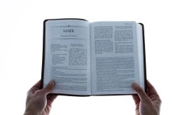 The Passion Translation New Testament Masterpiece Edition -Books-Bible 200 0014 3