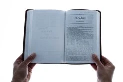 The Passion Translation New Testament Masterpiece Edition -Books-Bible 200 0014 4