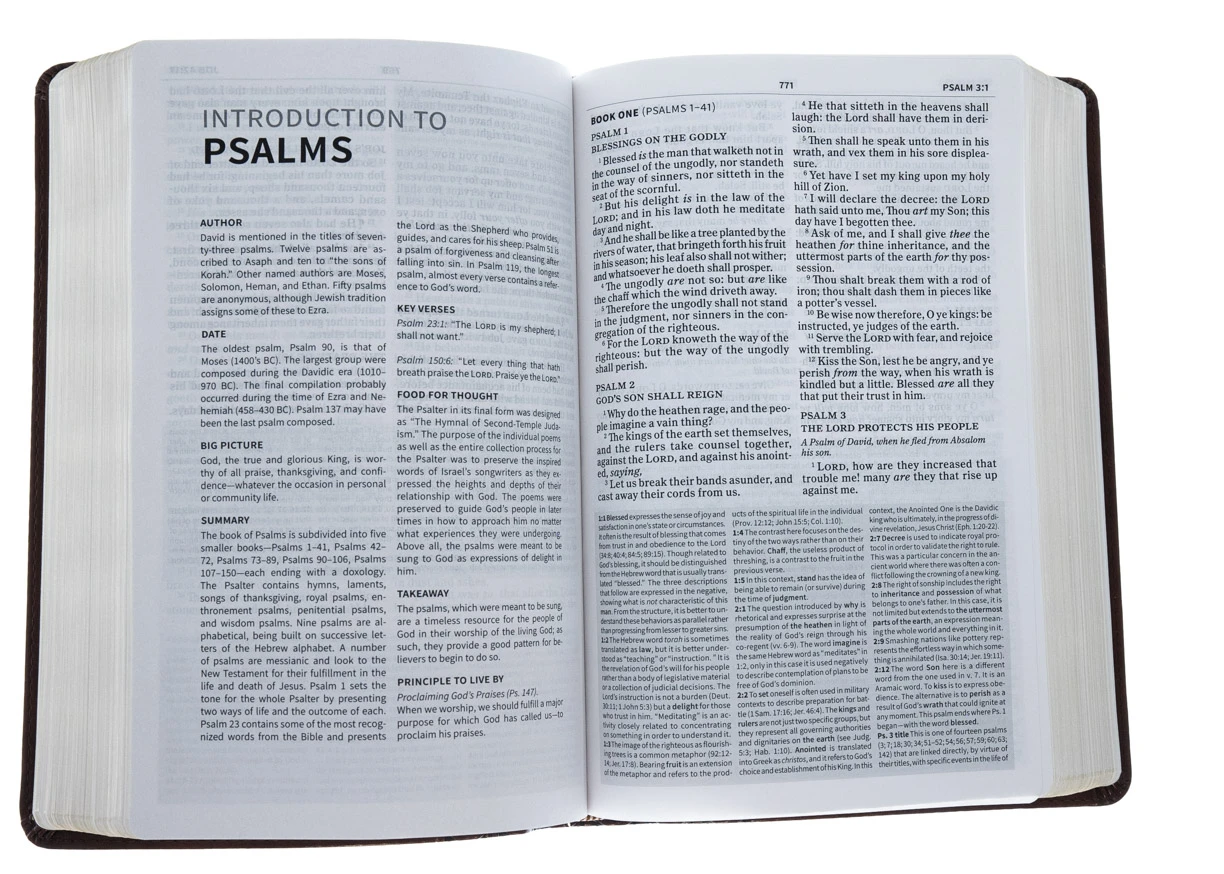 KJV Everyday Study Bible, British Tan Leathertouch 5 KJV Everyday Study Bible, British Tan Leathertouch - Image 3