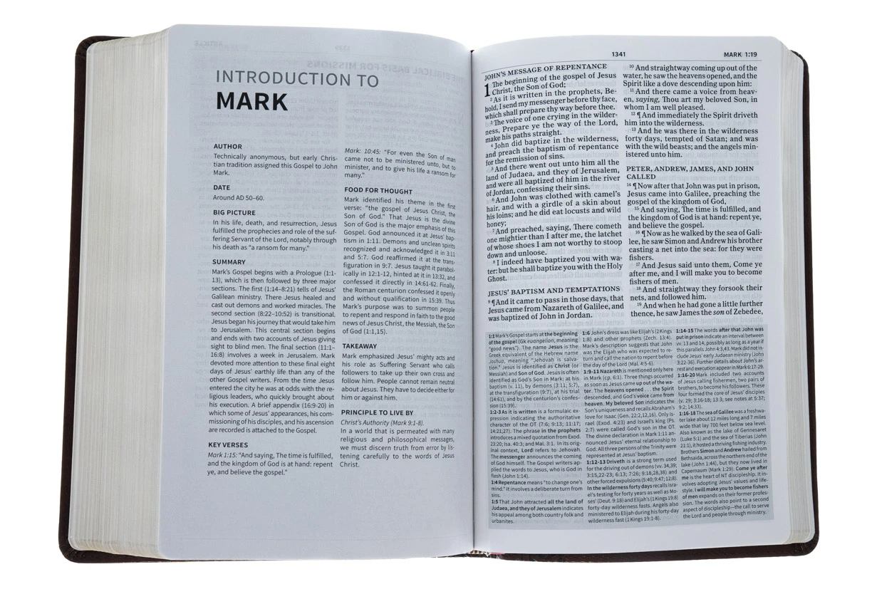 KJV Everyday Study Bible, British Tan Leathertouch 6 KJV Everyday Study Bible, British Tan Leathertouch - Image 4