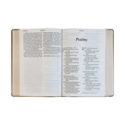 NLT Super Giant Print Bible, Dayspring Signature Collection 10 NLT Super Giant Print Bible, Dayspring Signature Collection -Books-Bible 200 0406 3