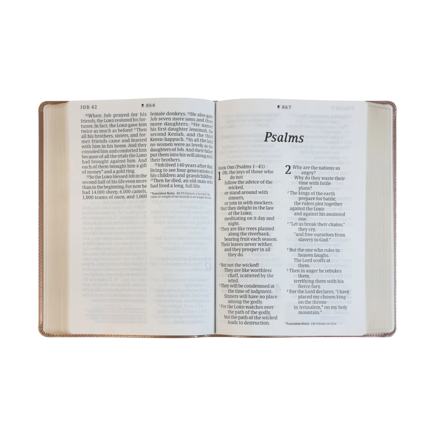 NLT Super Giant Print Bible, Dayspring Signature Collection 6 NLT Super Giant Print Bible, Dayspring Signature Collection - Image 4