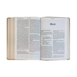 NLT Super Giant Print Bible, Dayspring Signature Collection 11 NLT Super Giant Print Bible, Dayspring Signature Collection -Books-Bible 200 0406 4