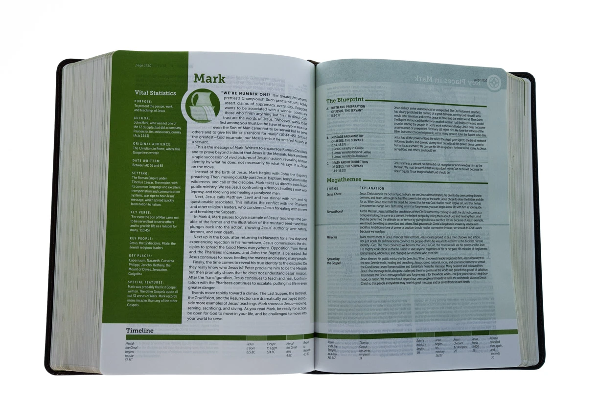 NLT Life Application Study Bible, Third Edition 5 NLT Life Application Study Bible, Third Edition - Image 3