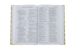 ESV Thinline Bible -Cloth Over Board, Polka Dots -Out Of Print -Books-Bible 200 0441 3