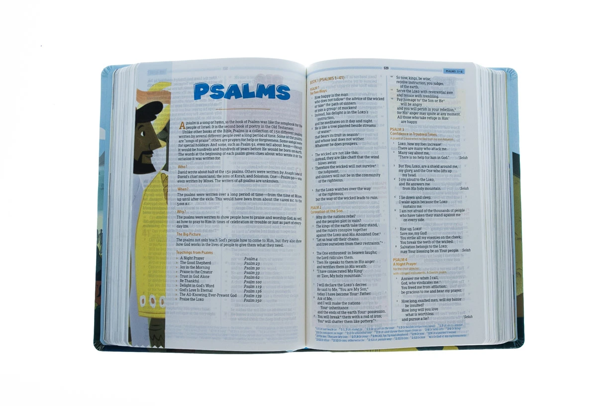 HCSB Big Picture Interactive Bible: Jesus Edition LeatherTouch 4 HCSB Big Picture Interactive Bible: Jesus Edition LeatherTouch - Image 2