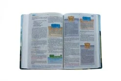 HCSB Big Picture Interactive Bible: Jesus Edition LeatherTouch 7 HCSB Big Picture Interactive Bible: Jesus Edition LeatherTouch -Books-Bible 200 0455 3