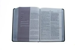 Amplified Everyday Life Bible-Black Bonded Leather -Books-Bible 200 0461 4 1
