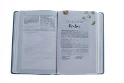 CSB (In)Courage Devotional Bible-Blue LeatherTouch -Books-Bible 200 0518 2