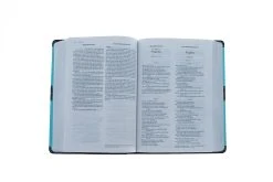 Parellel NIV, KJV, Side-by-Side, Compact, -Books-Bible 202 0010 3