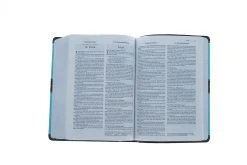 Parellel NIV, KJV, Side-by-Side, Compact, -Books-Bible 202 0010 4