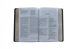 KJV/NLT2 People’s Parallel Bible-Burgundy Imitation Leather 11 KJV/NLT2 People’s Parallel Bible-Burgundy Imitation Leather -Books-Bible 202 0031 3