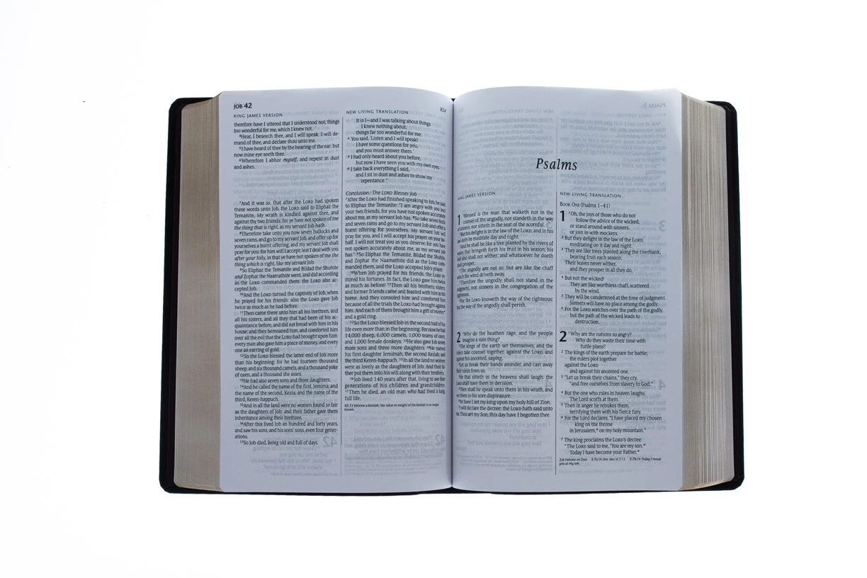 KJV/NLT2 People’s Parallel Bible-Burgundy Imitation Leather 6 KJV/NLT2 People’s Parallel Bible-Burgundy Imitation Leather - Image 4