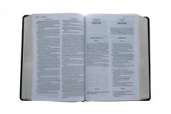 KJV, Amplified, Parallel Bible, Large Print, Bonded Leather, Black 11 KJV, Amplified, Parallel Bible, Large Print, Bonded Leather, Black -Books-Bible 202 0045 3