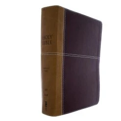 KJV, Amplified, Parallel Bible, Large Print, Leathersoft, Tan/Burgundy