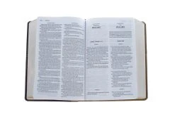 KJV, Amplified, Parallel Bible, Large Print, Leathersoft, Tan/Burgundy -Books-Bible 202 0047 4