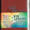 NLT / CNLT English / Chinese Simplified Chinese -Books-Bible 202 0048 0