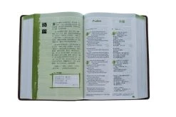 NLT / CNLT English / Chinese Simplified Chinese 11 NLT / CNLT English / Chinese Simplified Chinese -Books-Bible 202 0048 3
