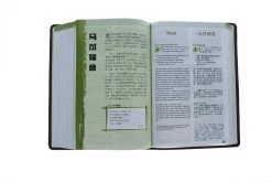NLT / CNLT English / Chinese Simplified Chinese 12 NLT / CNLT English / Chinese Simplified Chinese -Books-Bible 202 0048 4