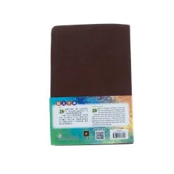 NLT / CNLT English / Chinese Simplified Chinese 13 NLT / CNLT English / Chinese Simplified Chinese -Books-Bible 202 0048 5