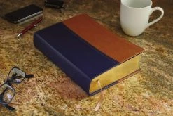 NIV & KJV Side-By-Side Bible/Large Print-Navy/Tan Duo-Tone -Books-Bible 202 0049 2