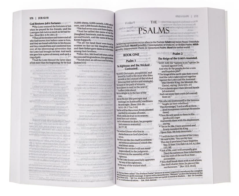 Amplified Holy Bible (Revised)-Softcover 4 Amplified Holy Bible (Revised)-Softcover - Image 2