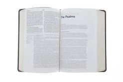 ESV, Gospel Transformation Bible-Trail Design -Books-Bible 204 0134 3